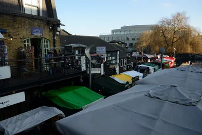 DSC_1392 (Large).JPG